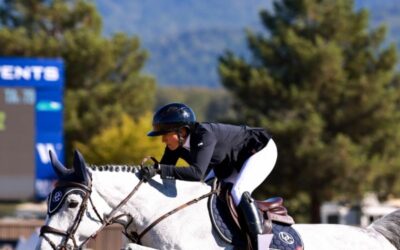 Exciting Updates Coming to the Horse Park at Woodside