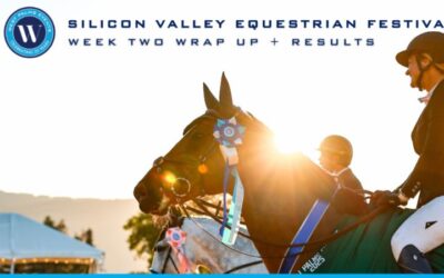 Wrapping Up Week Two of the 2025 Silicon Valley Equestrian Festival!