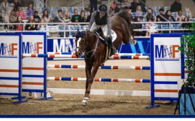 Wrapping Up the 2025 MNF Charity Horse Show & Christmas Market